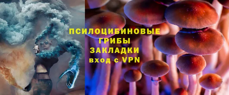 Псилоцибиновые грибы MAGIC MUSHROOMS  купить наркотики цена  Зеленодольск 